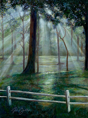 Ray of Peace