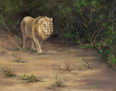 Vuyani Lion