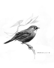Nightingale
