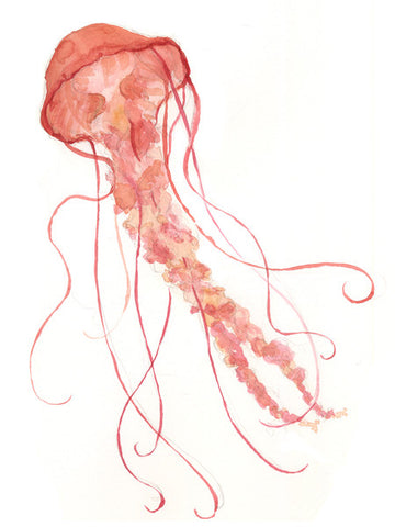 Red Jellyfish