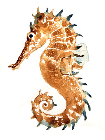 Sea Horse