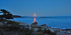 Moonrise Over Acadia