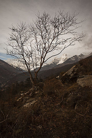 Ama Dablam