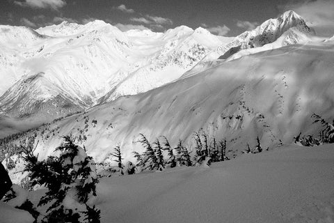 Light In The Chugach