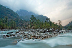 Pakding