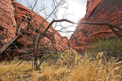Quiet Canyon