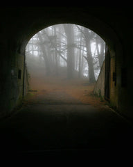 Fog And Stone