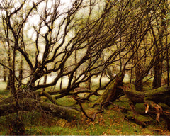 Wicklow Lore
