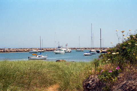 Old Harbor