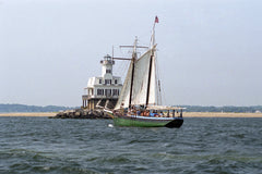Passing Bug Light
