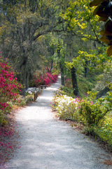 The Road Less Traveled