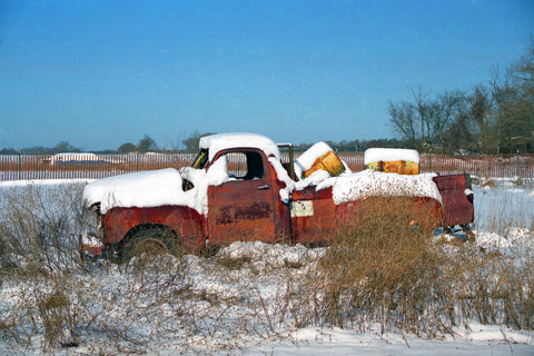 Snowed In