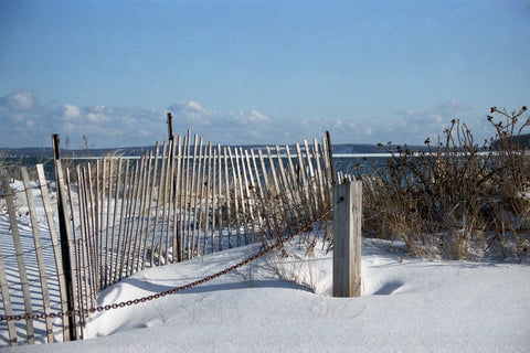 By The Beach