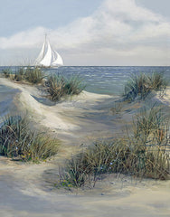 Dune Path