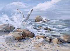 Gull Landing On Rock