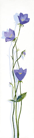 Flower - Blue Bells
