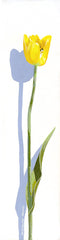 Flower - Yellow Tulip