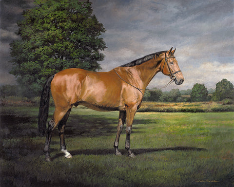 Horse Portrait