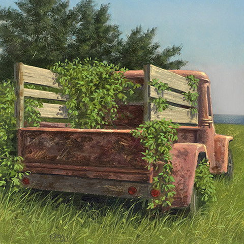Island Car