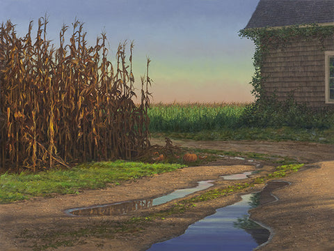 Corn Field