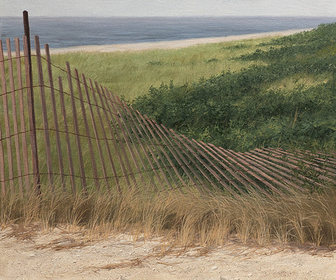 Beach Fence