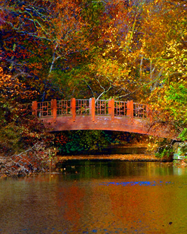 Fall In Westbury Garden