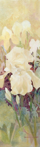 Flowers: Iris