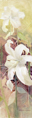 Flowers: Lily
