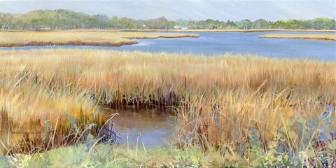 New Suffolk: The Wetlands