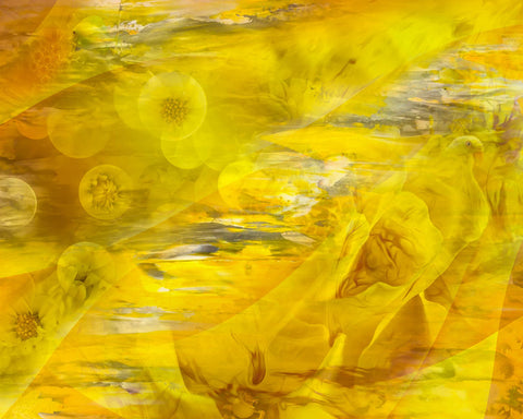 étude en jaune