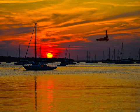 Port Jefferson Sunset