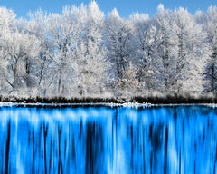 Winter Reflection