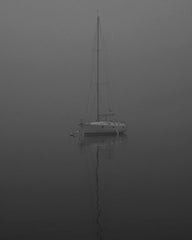 On Silent Haunches