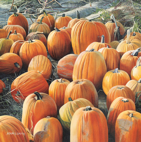 Pumpkin Patch