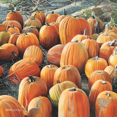 Pumpkin Patch