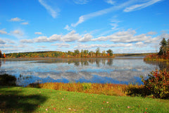 View of the Lake I