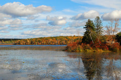 View of the Lake II