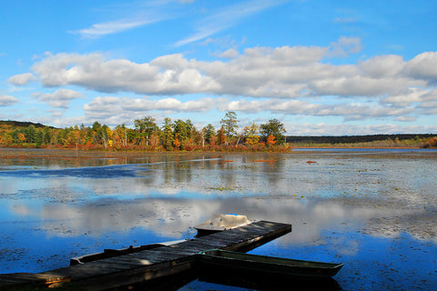 View of the Lake III