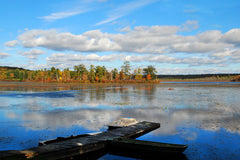 View of the Lake III