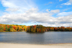 View of the Lake IV