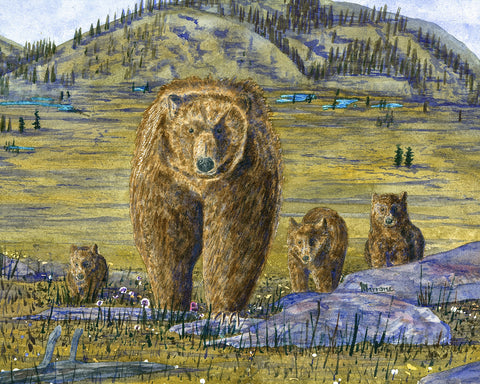 Morning Stroll, Grizzly Family