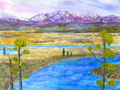 Yellowstone River, Hayden Valley