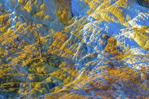 First Light, Artists Palette