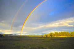 Double Rainbow