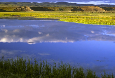 First Light, Trout Creek
